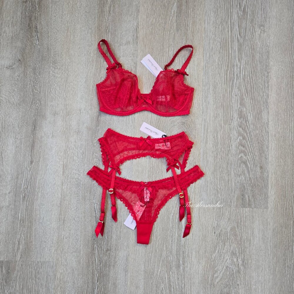 NWT Agent Provocateur Aliza Red Lace Lingerie Set 32DD Thong Sz 3 Suspender Sz 2